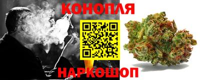 индика Партизанск