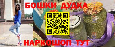 индика Партизанск