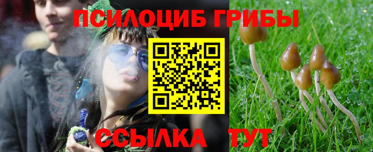 Батайск  Псилоцибиновые грибы MAGIC MUSHROOMS  Псилоцибиновые грибы прущие грибы  Вход с VPN 