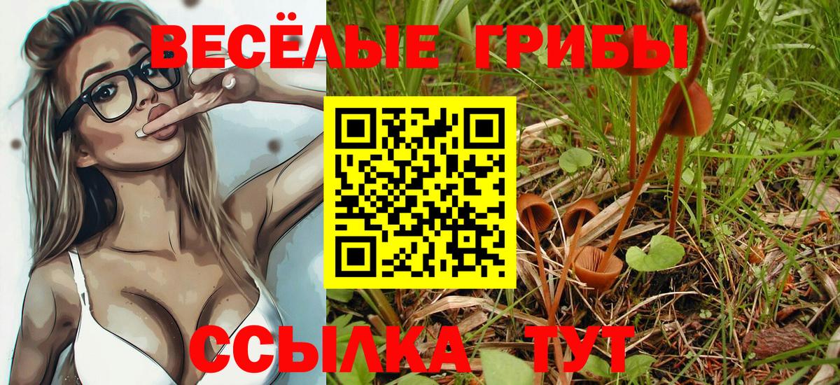 Галлюциногенные грибы Psilocybe Батайск